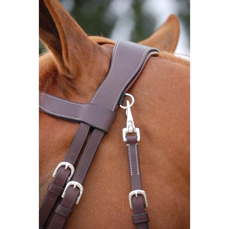 Trense mit kombiniertem Reithalfter und Karabinern