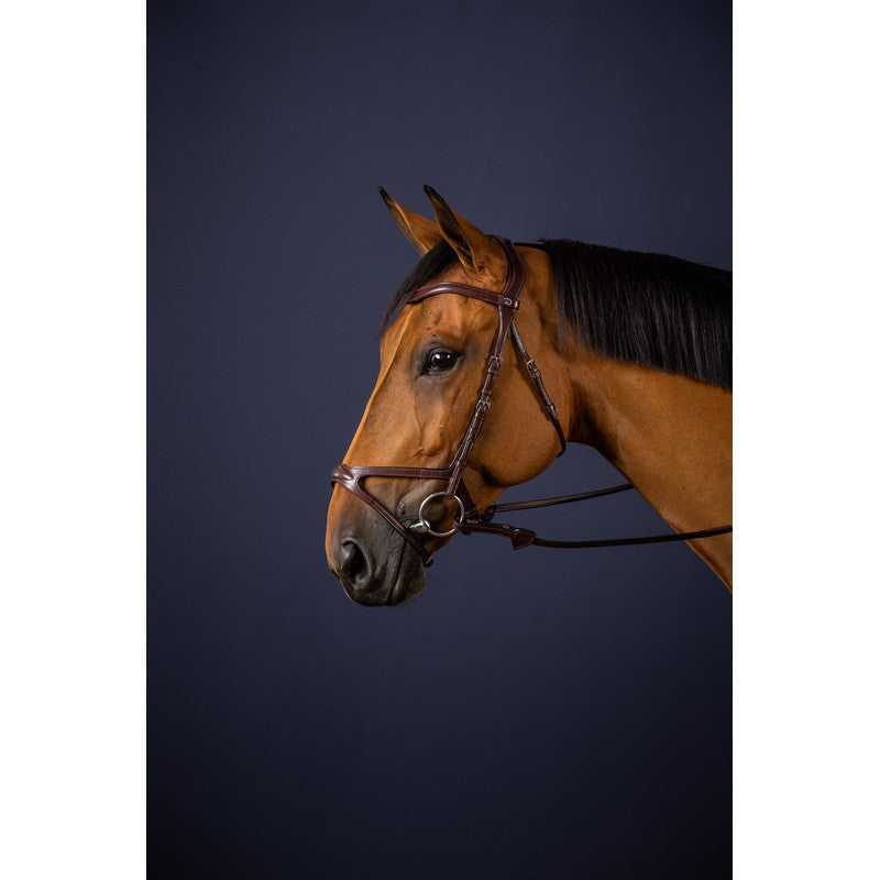 Trense X-Fit NEW ENGLISH Collection