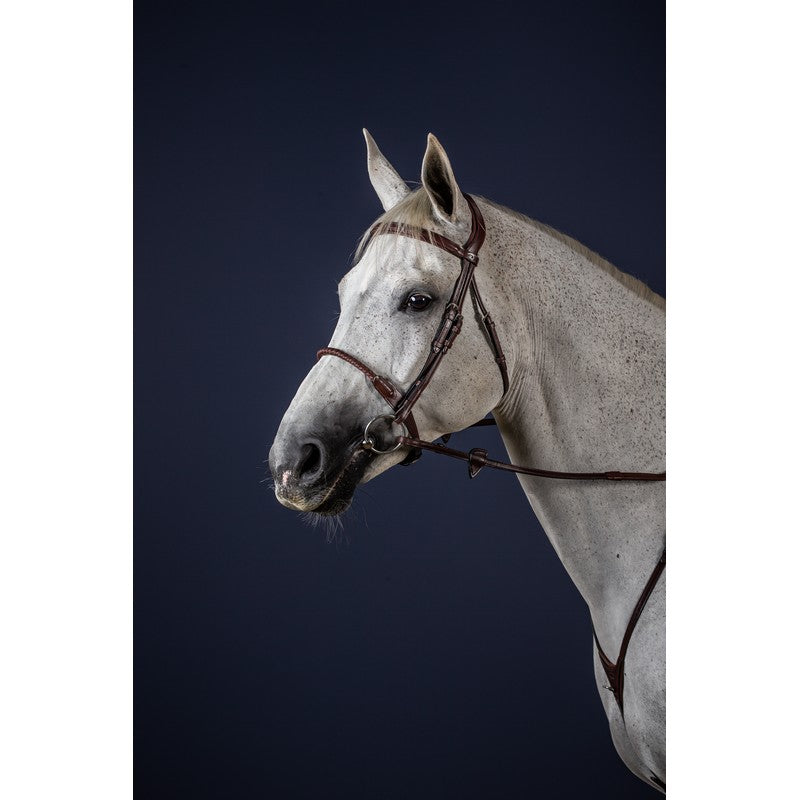 Trense mit Leder umwickeltem Strickreithalfter NEW ENGLISH Collection