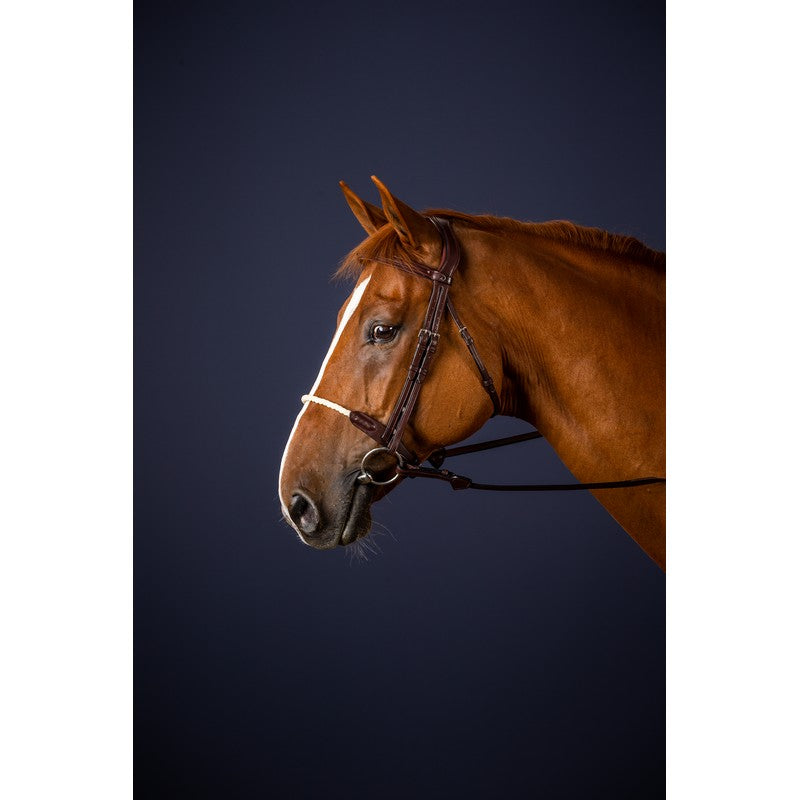 Trense mit Strickreithalfter NEW ENGLISH Collection