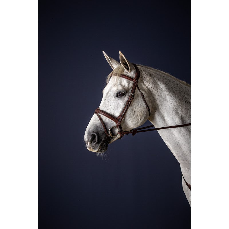 Trense mit kombiniertem Reithalfter NEW ENGLISH Collection