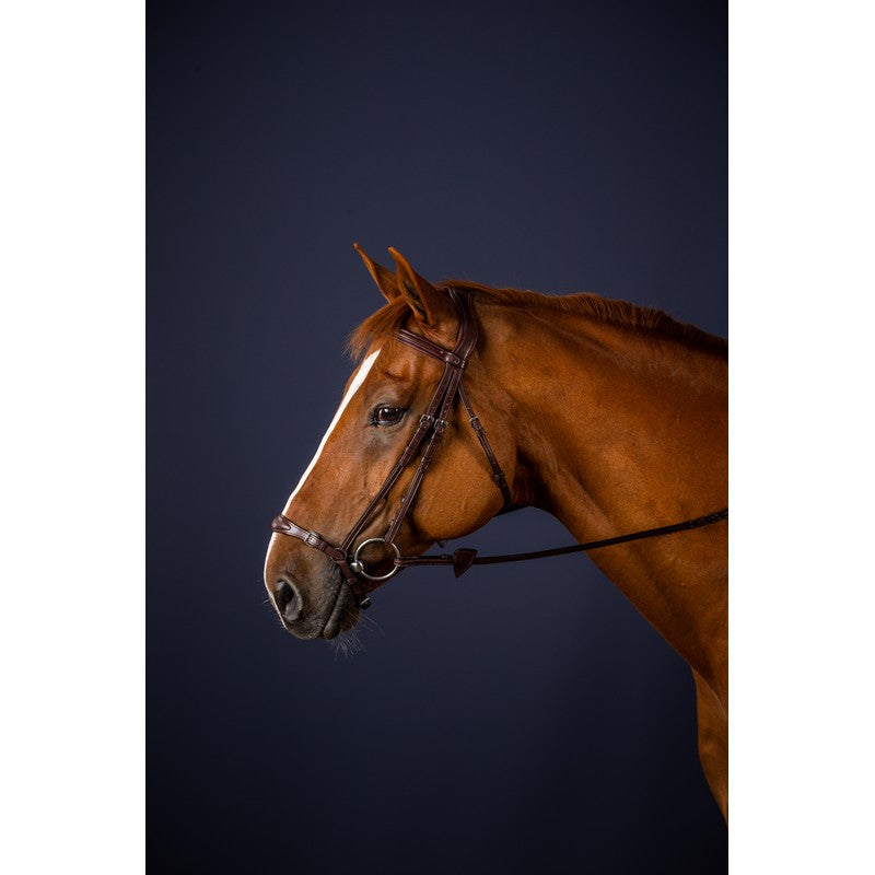 Trense mit verstellbarem hannoverschem Reithalfter NEW ENGLISH Collection