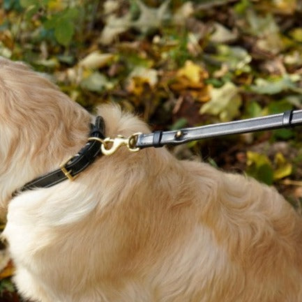 Verstellbare Hundeleine