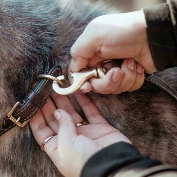 Verstellbare Hundeleine