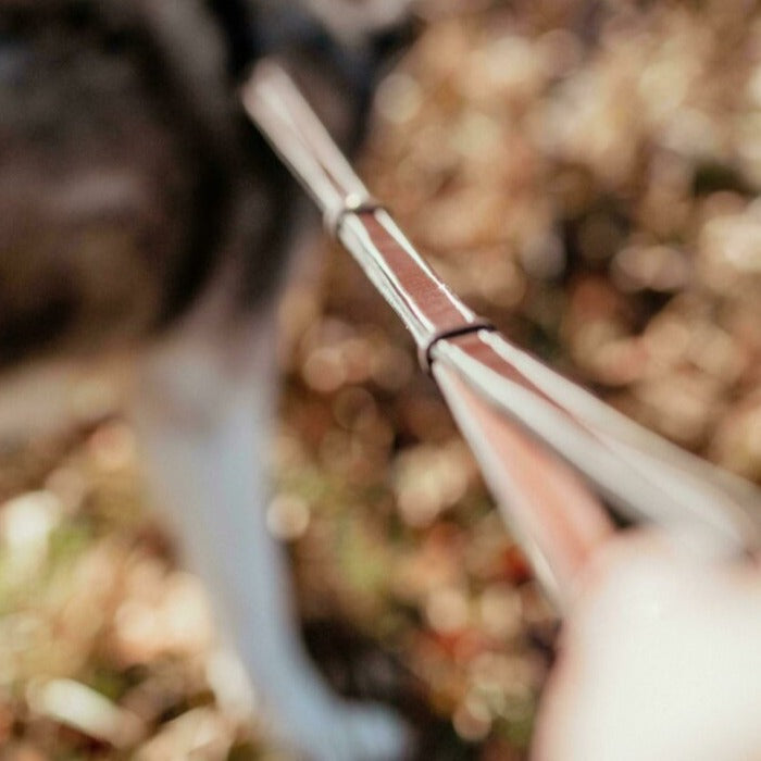 Verstellbare Hundeleine