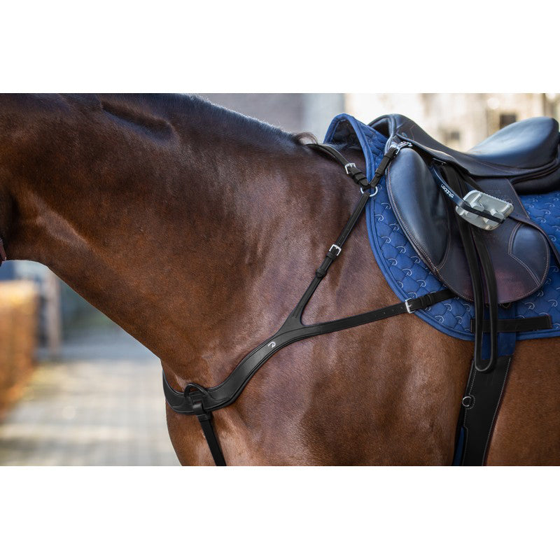 Vorderzeug anatomisch NEW ENGLISH Collection