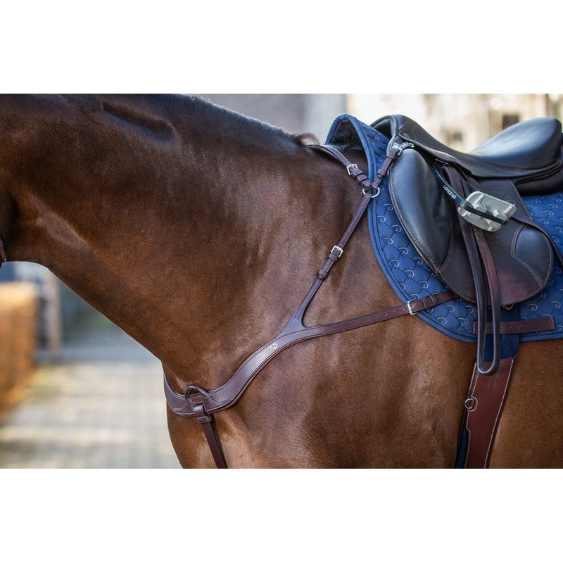 Vorderzeug anatomisch NEW ENGLISH Collection