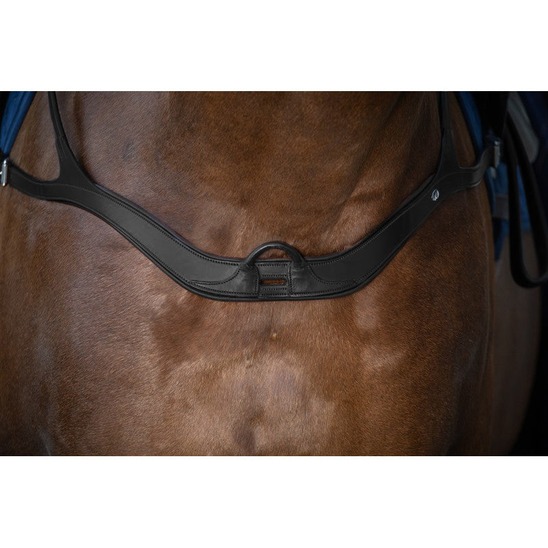 Vorderzeug anatomisch NEW ENGLISH Collection