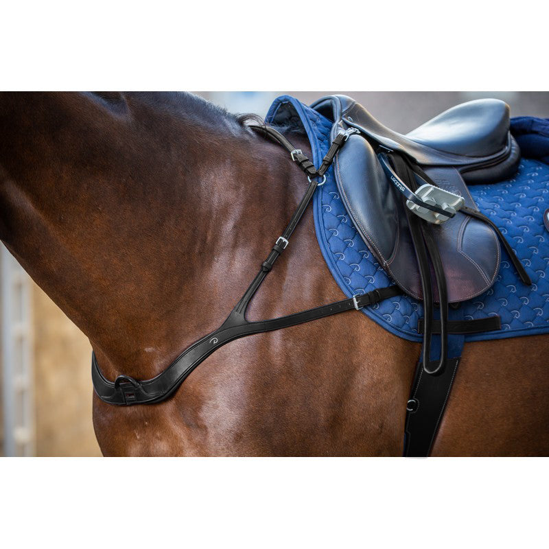 Vorderzeug anatomisch NEW ENGLISH Collection