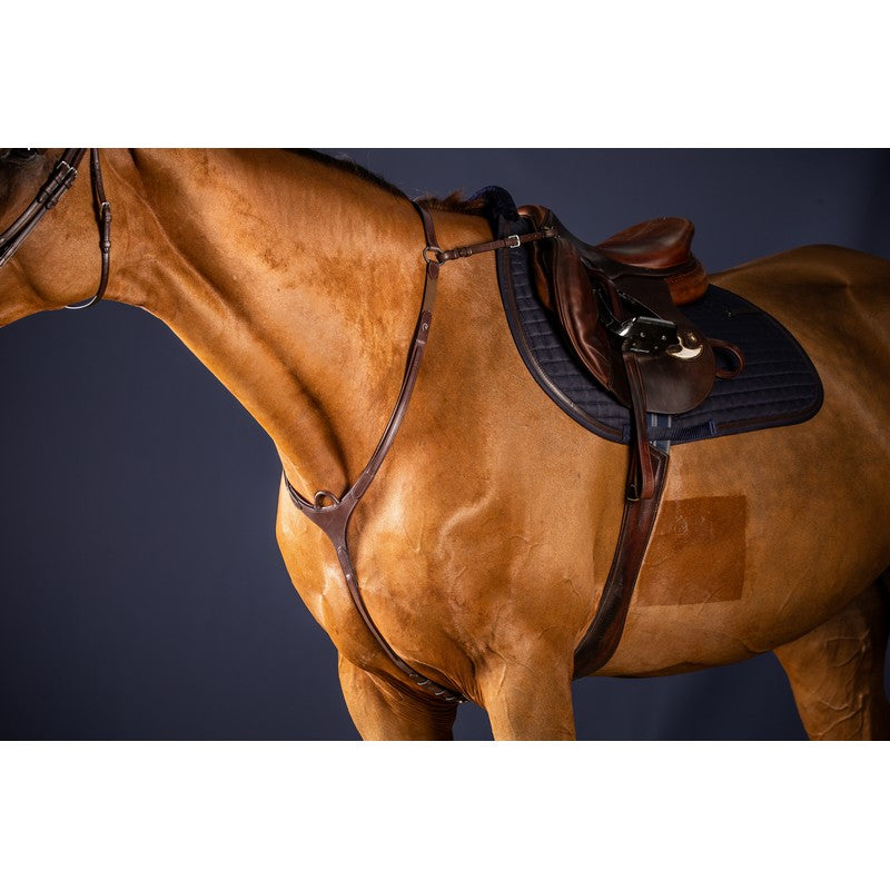 Vorderzeug mit Brücke NEW ENGLISH Collection