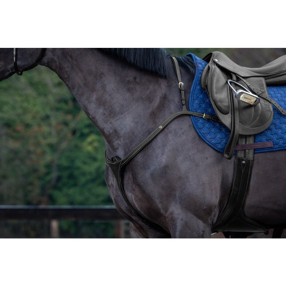 Vorderzeug mit langer Brücke Dyon Collection