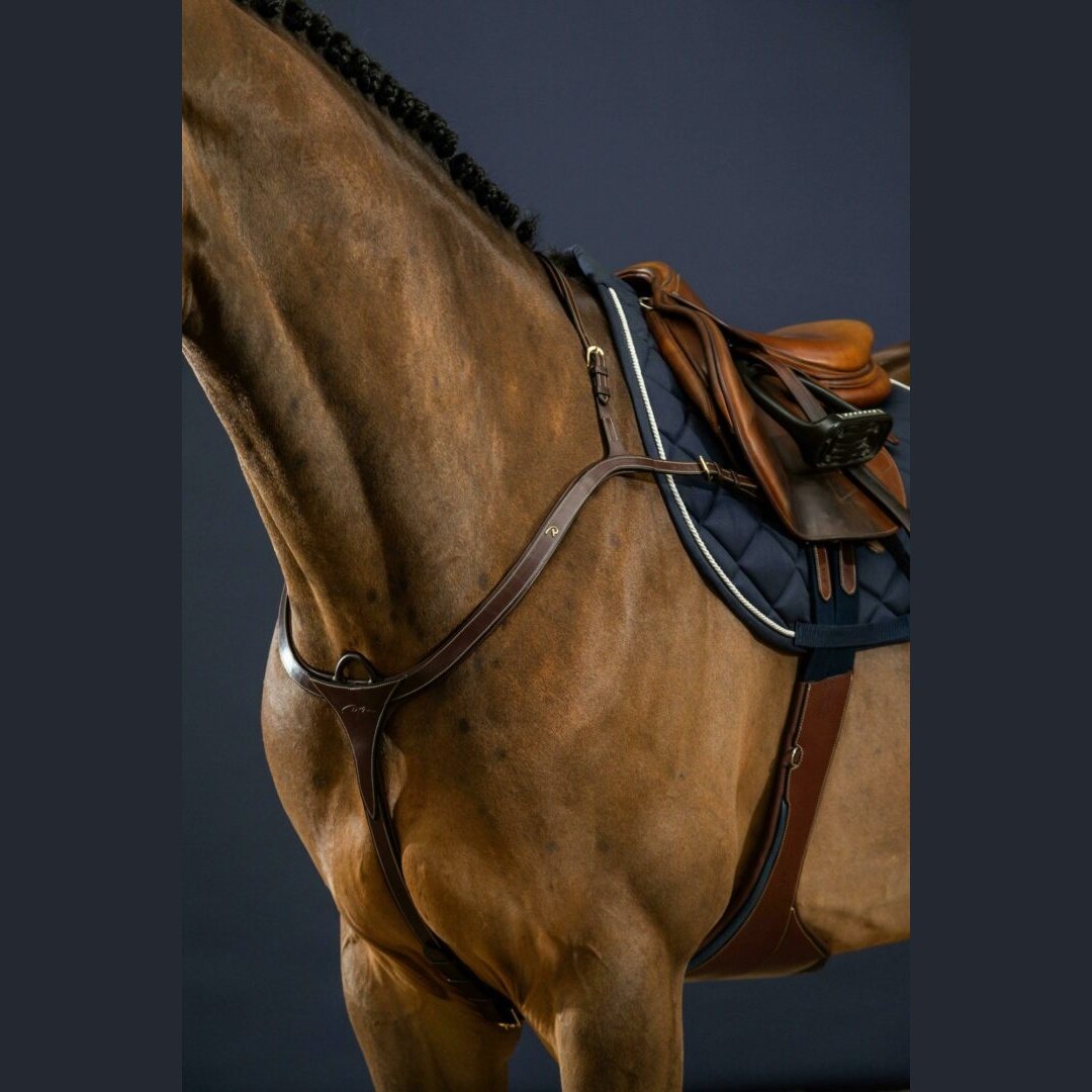 Vorderzeug mit langer Brücke Dyon Collection