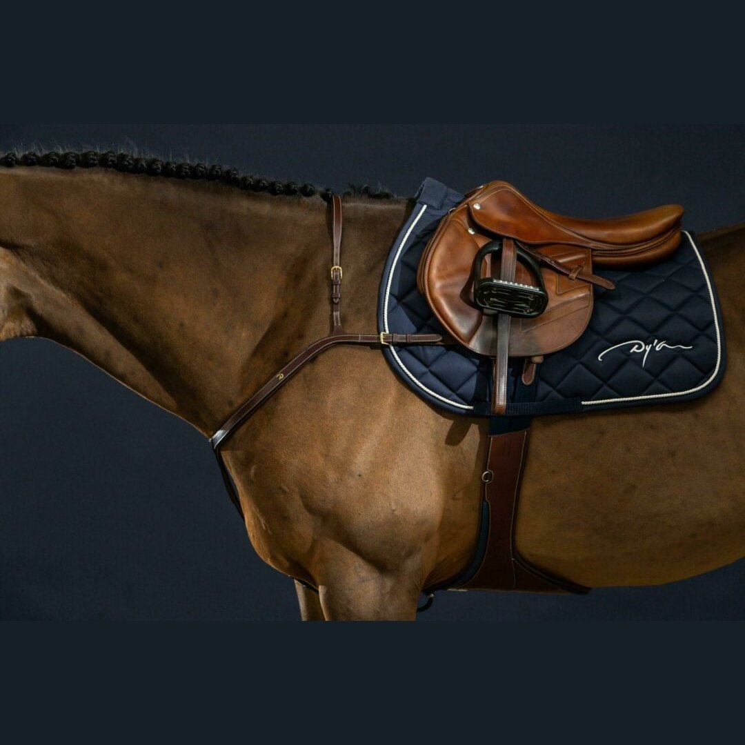 Vorderzeug mit langer Brücke Dyon Collection