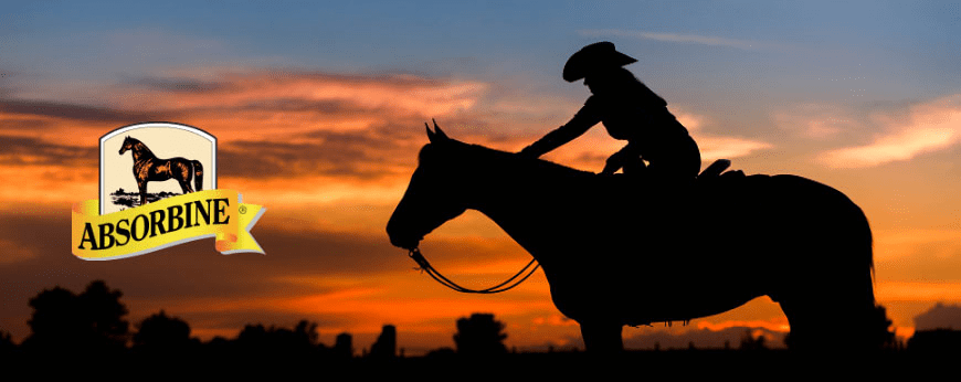 Absorbine JR Equestrian Boutique