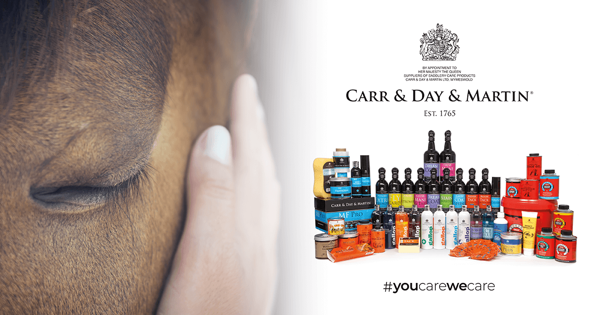 Carr & Day & Martin JR Equestrian Boutique