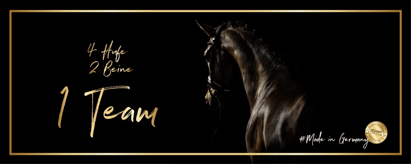 EQuest JR Equestrian Boutique