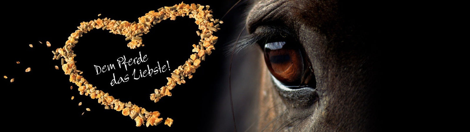 Höveler JR Equestrian Boutique
