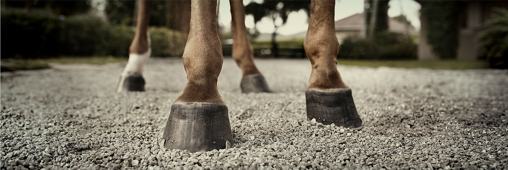 Hufe & Fell JR Equestrian Boutique