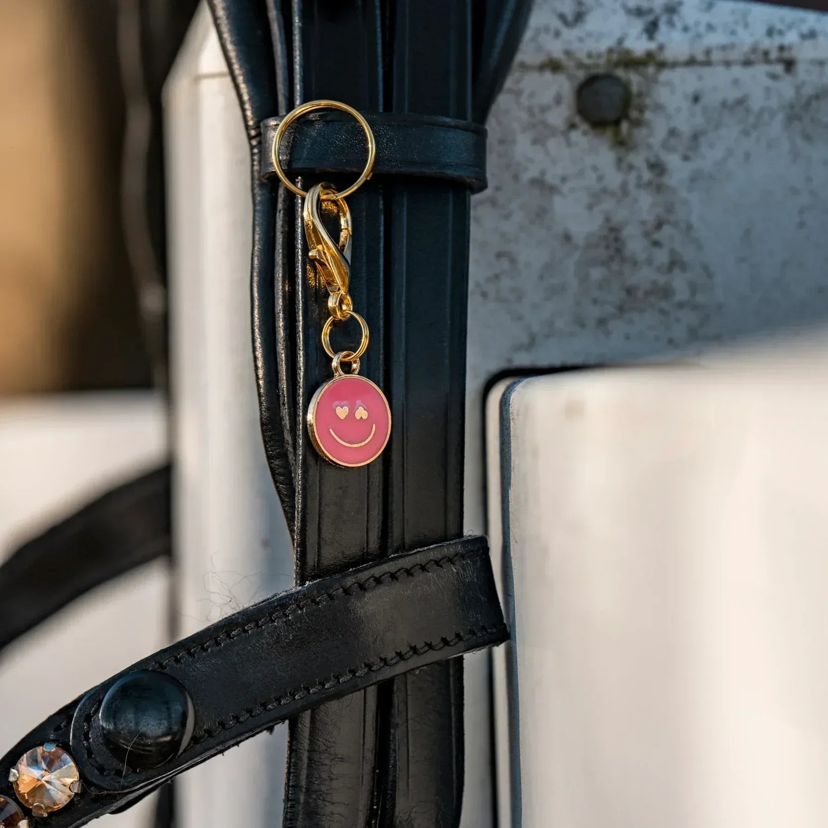 SWEETHEART SMILE Charm