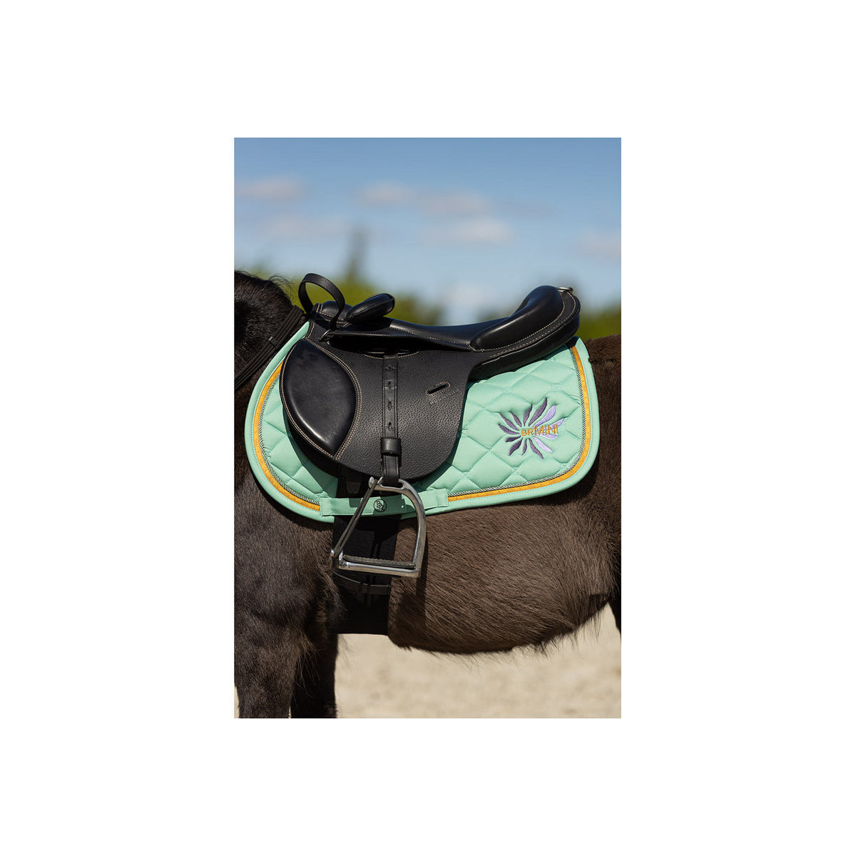 BR Mini Horse Schabracke