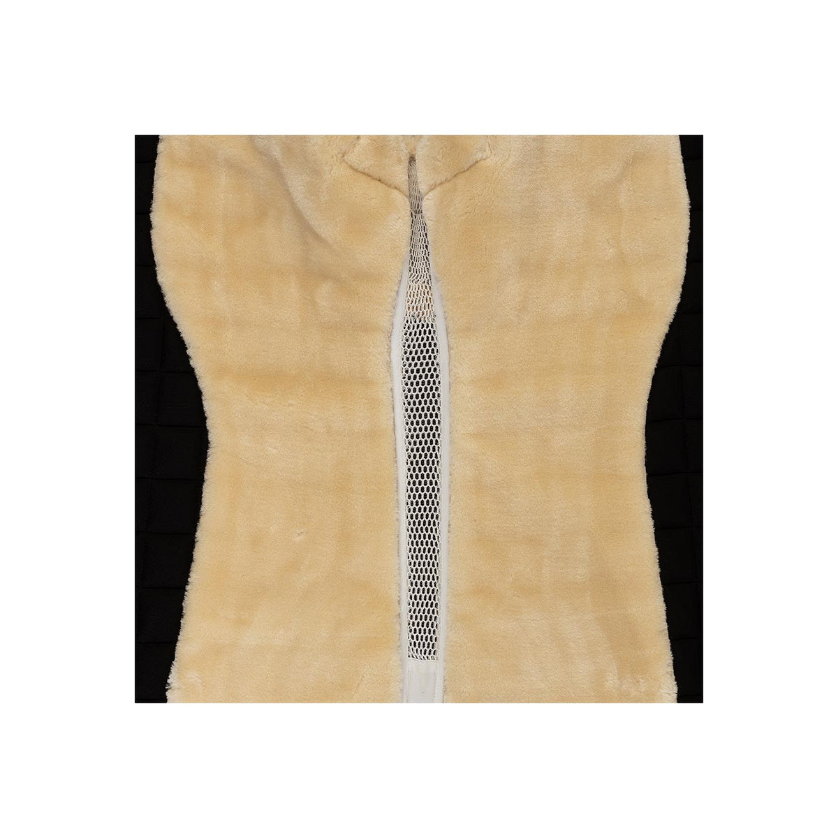 BR Schabracke Majeur 2 Dressur