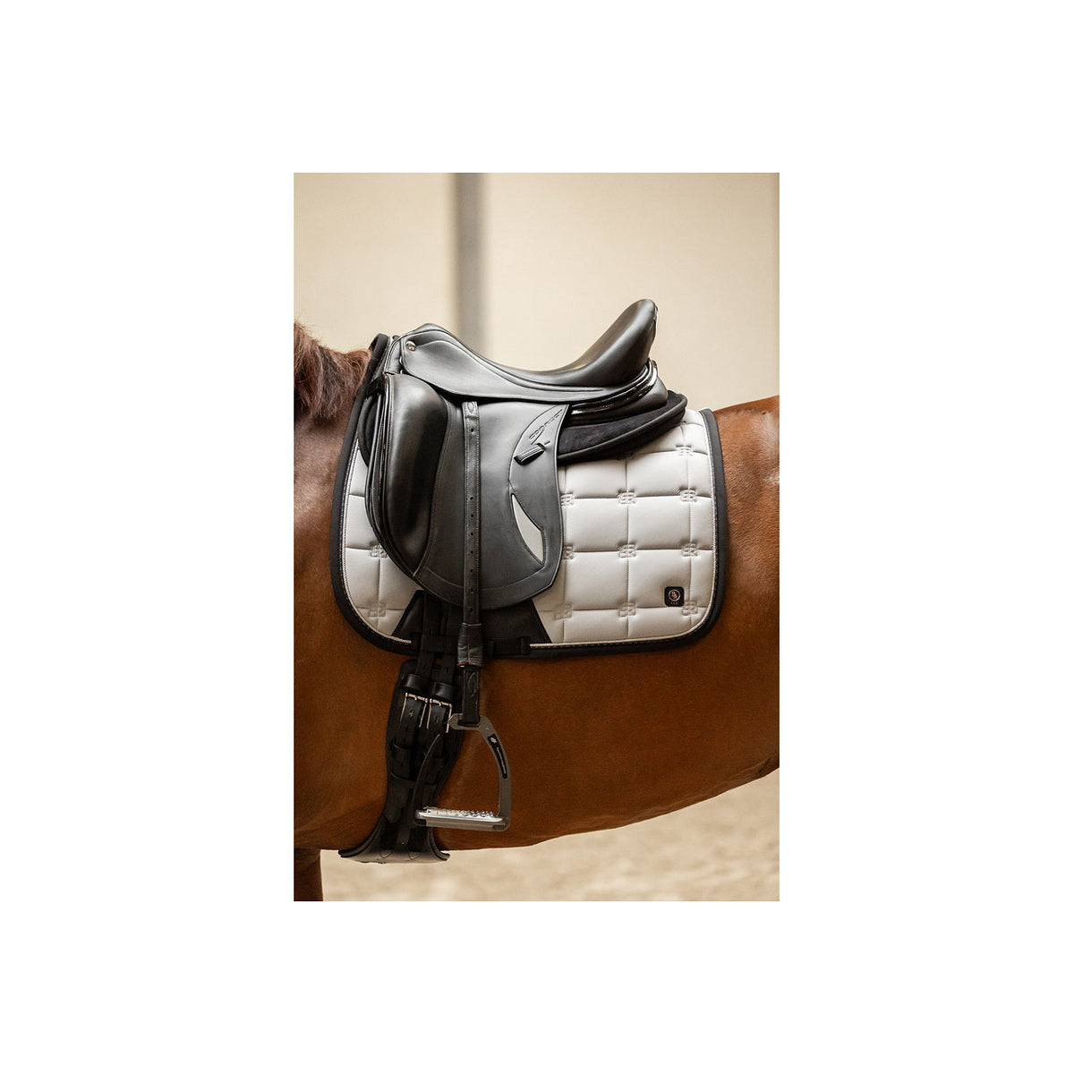 BR CLX Schabracke Dressur