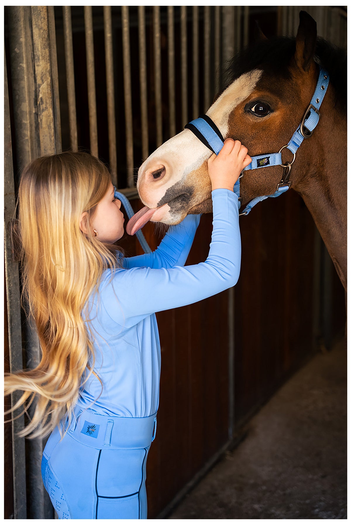 BR Mini Horse Halfter mit Anbindestrick