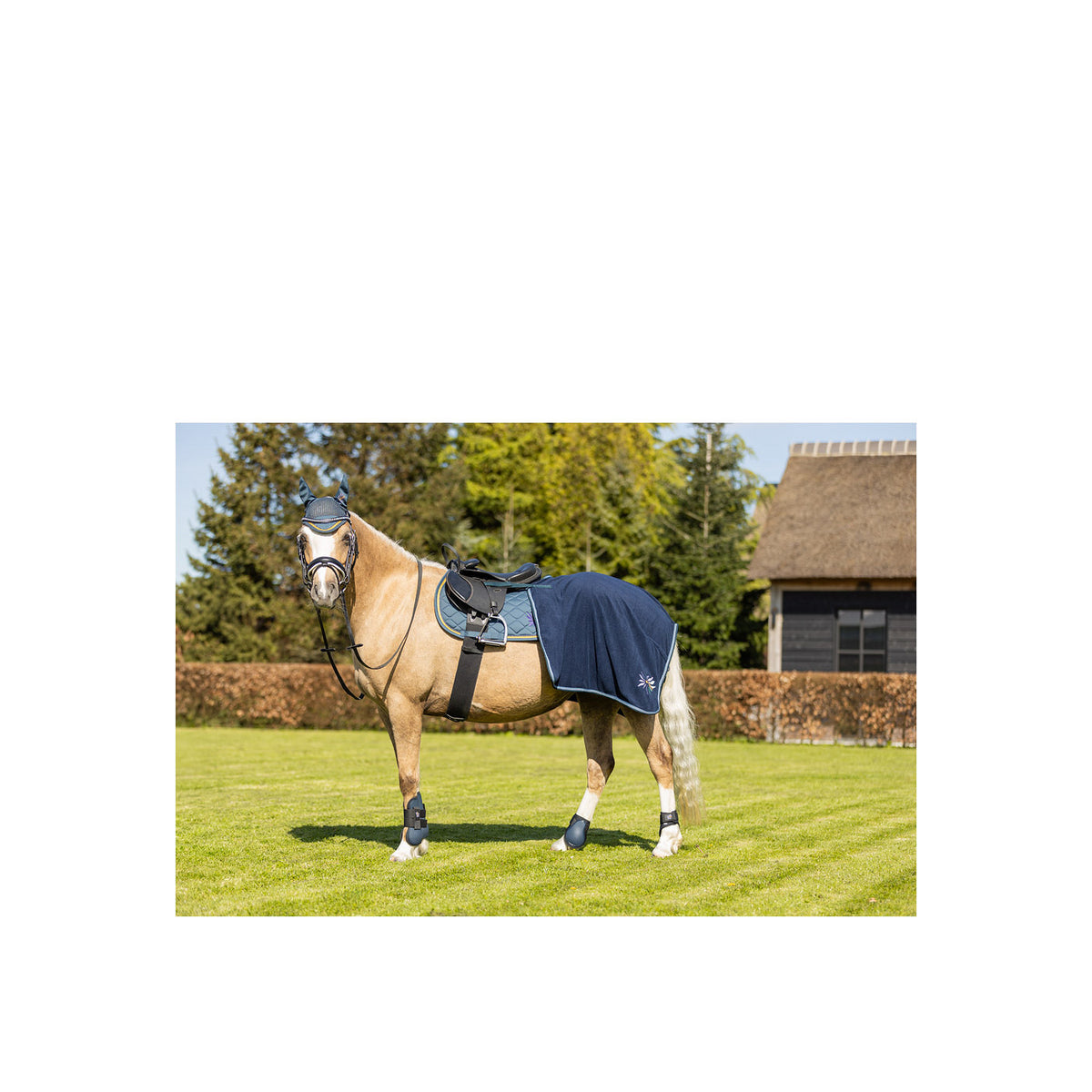 BR Mini Horse Streichkappen