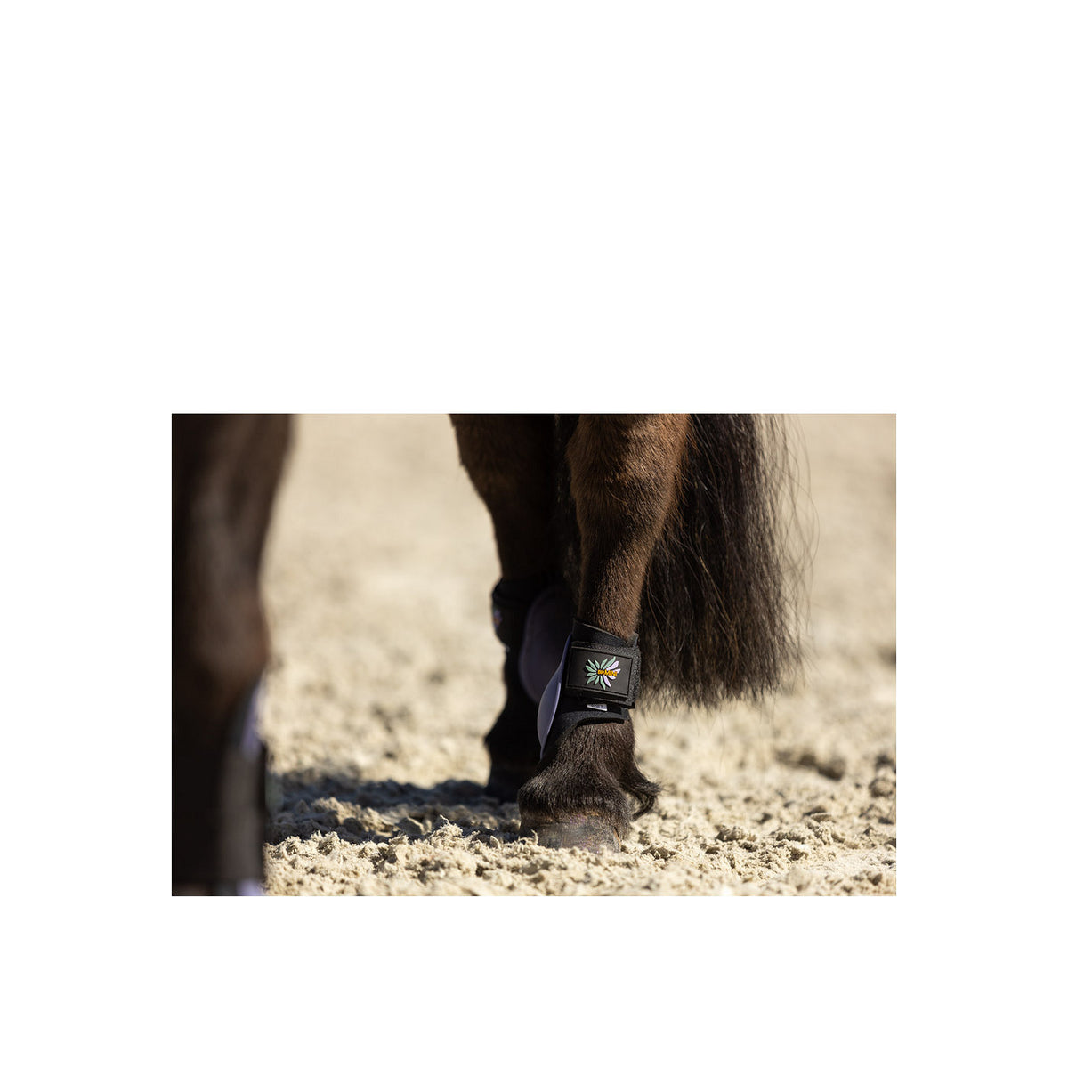 BR Mini Horse Streichkappen