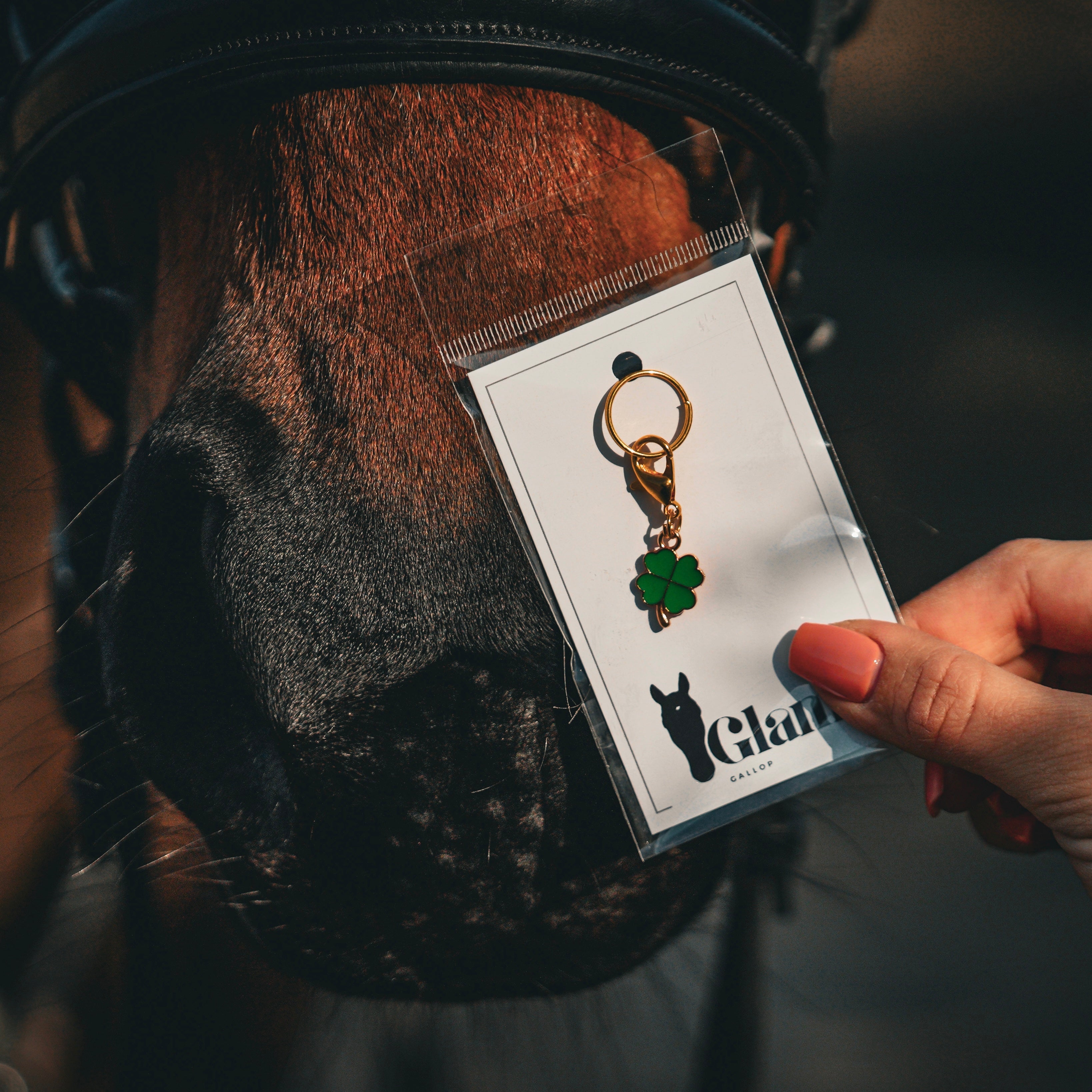 GLÜCKSKLEE Charm