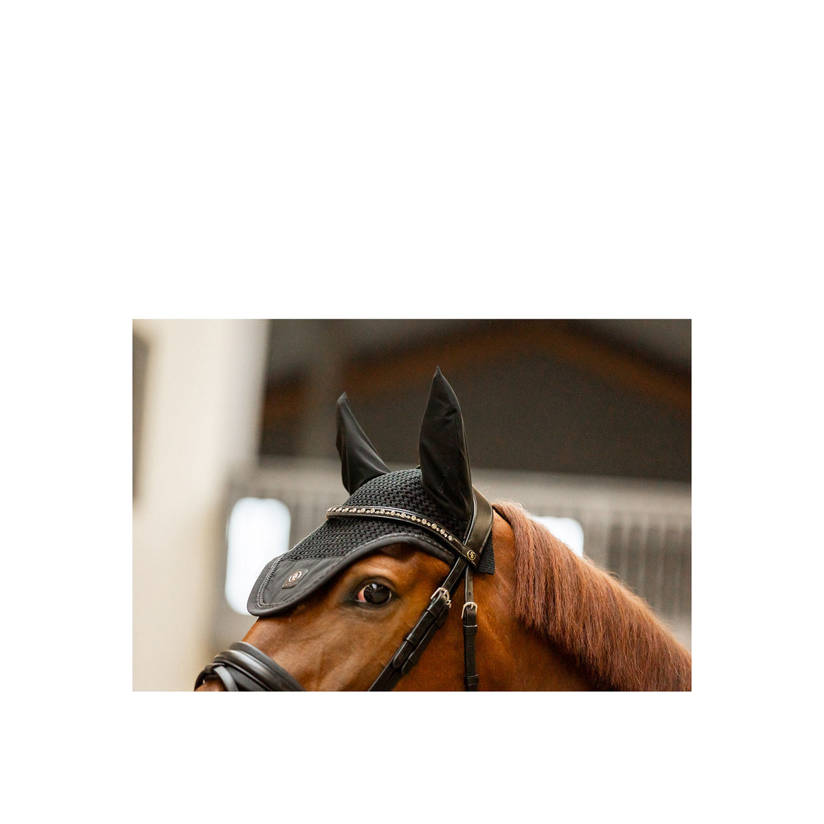 BR CLX Ohrenhaube