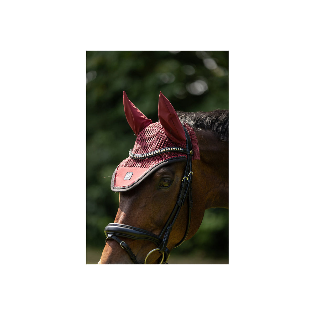 BR CLX Ohrenhaube