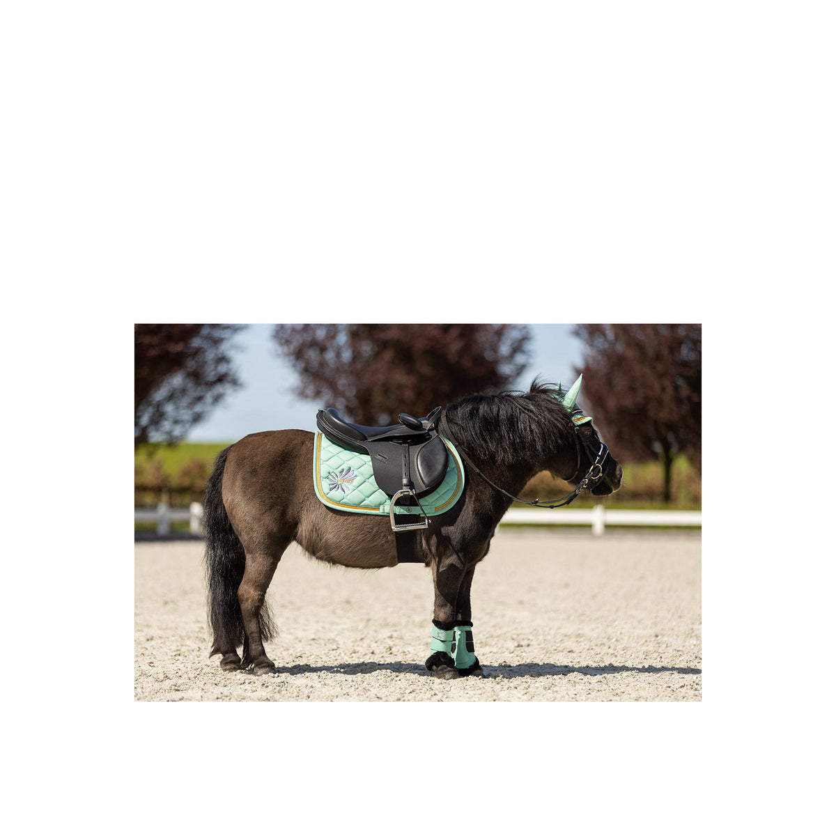 BR Mini Horse Ohrenhaube