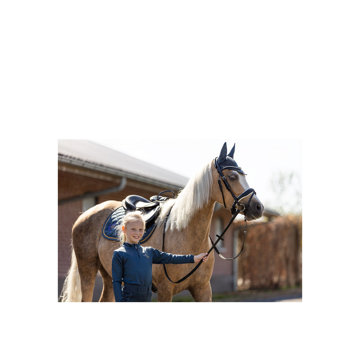 BR Mini Horse Ohrenhaube