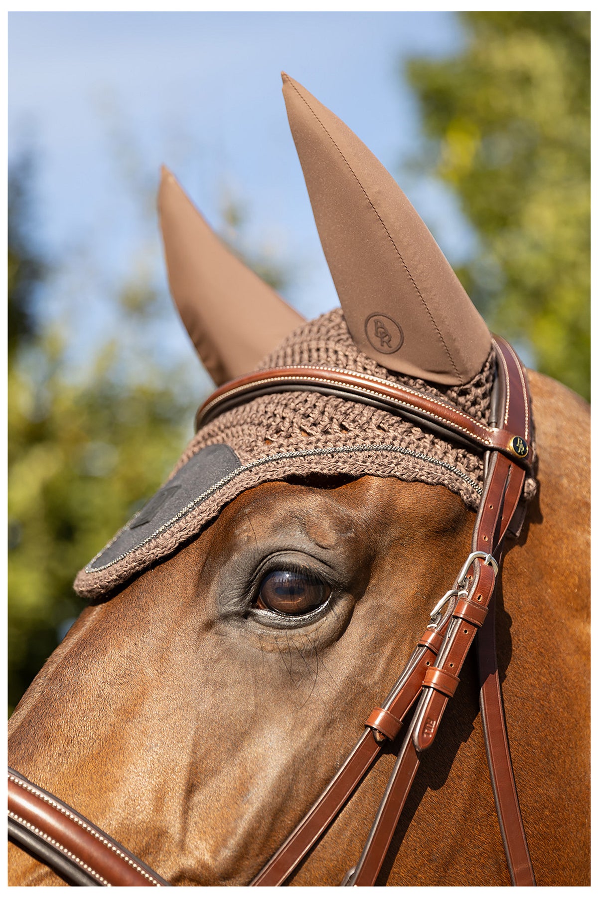BR Ohrenhaube Lotte