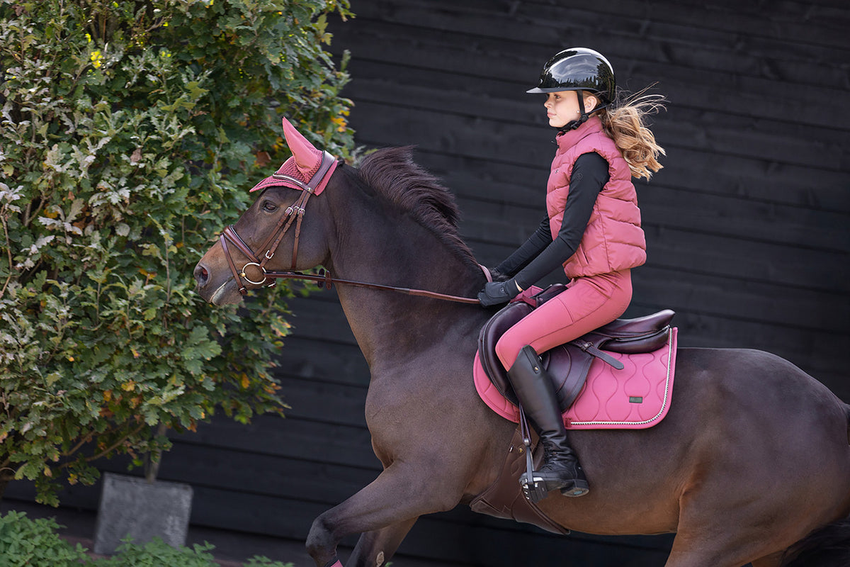 BR Ohrenhaube Liefke