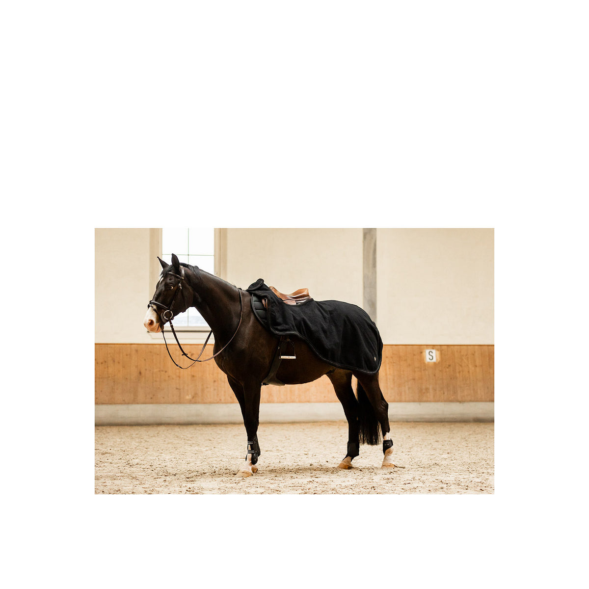 BR CLX Ausreitdecke