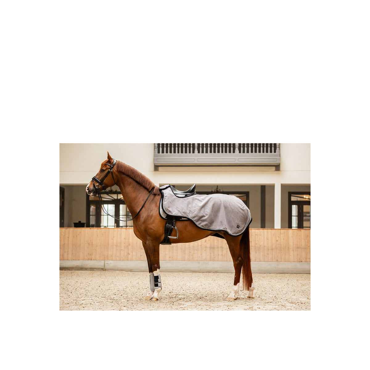 BR CLX Ausreitdecke