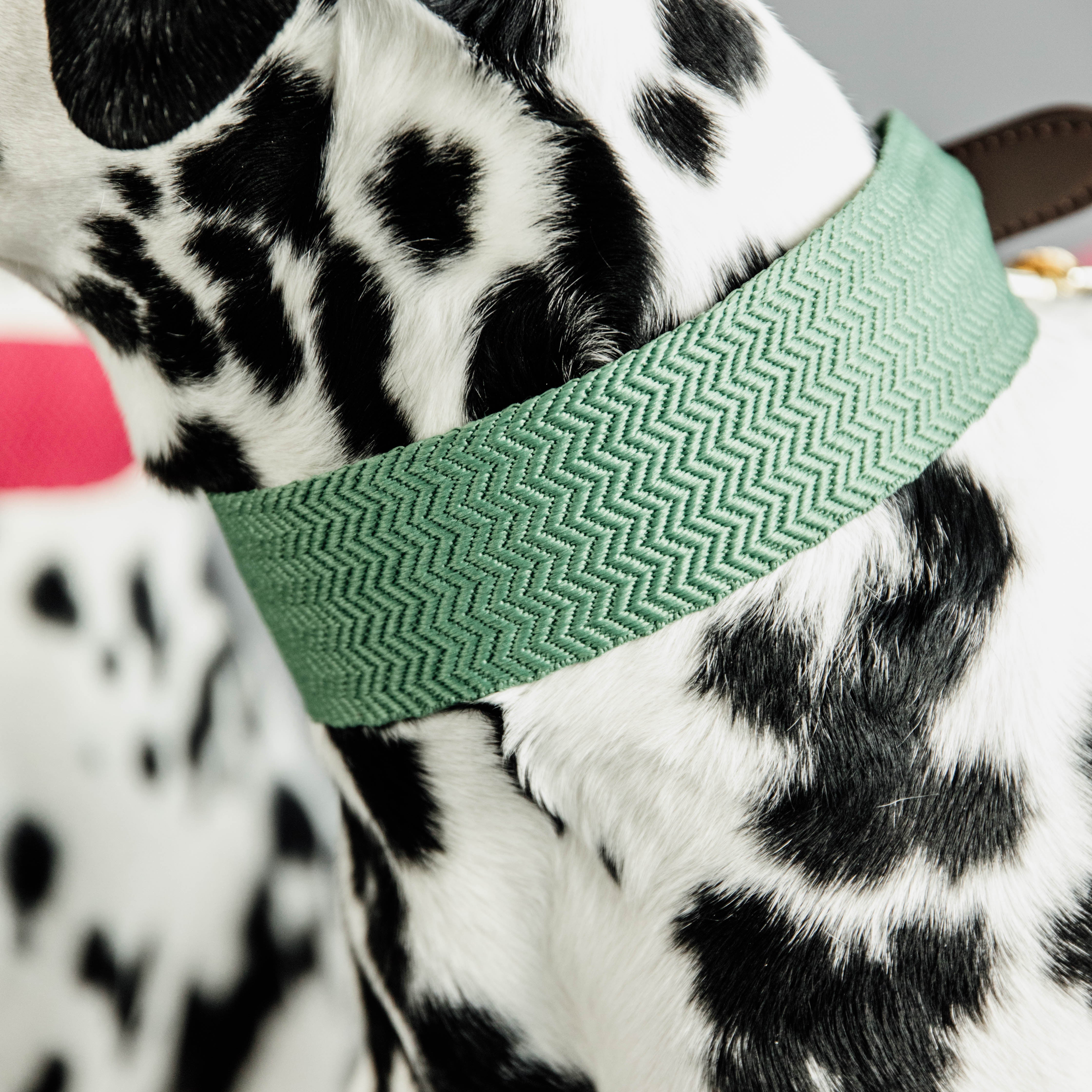 Hunde Halsband Jacquard