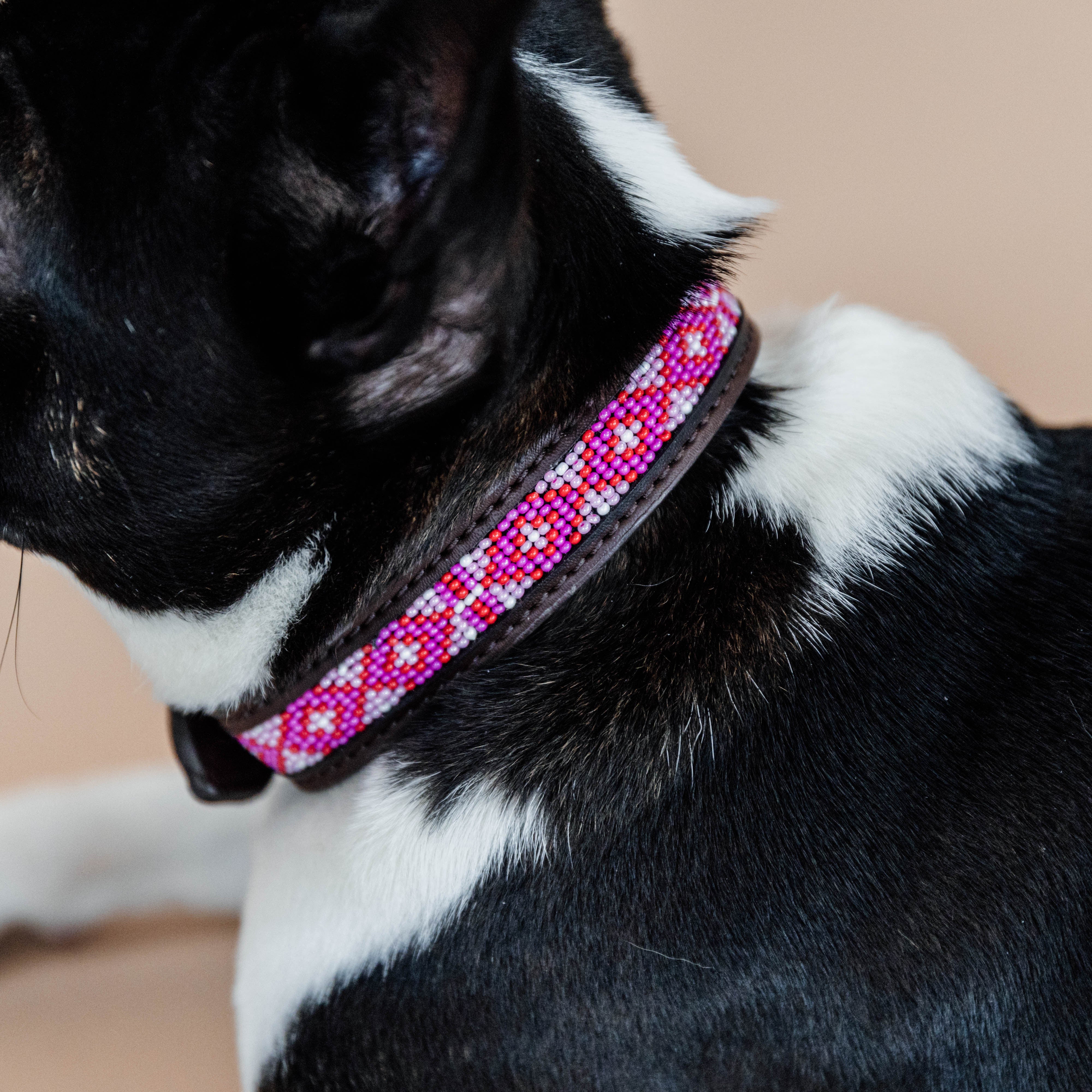 Hunde Halsband Handgemacht Perlen