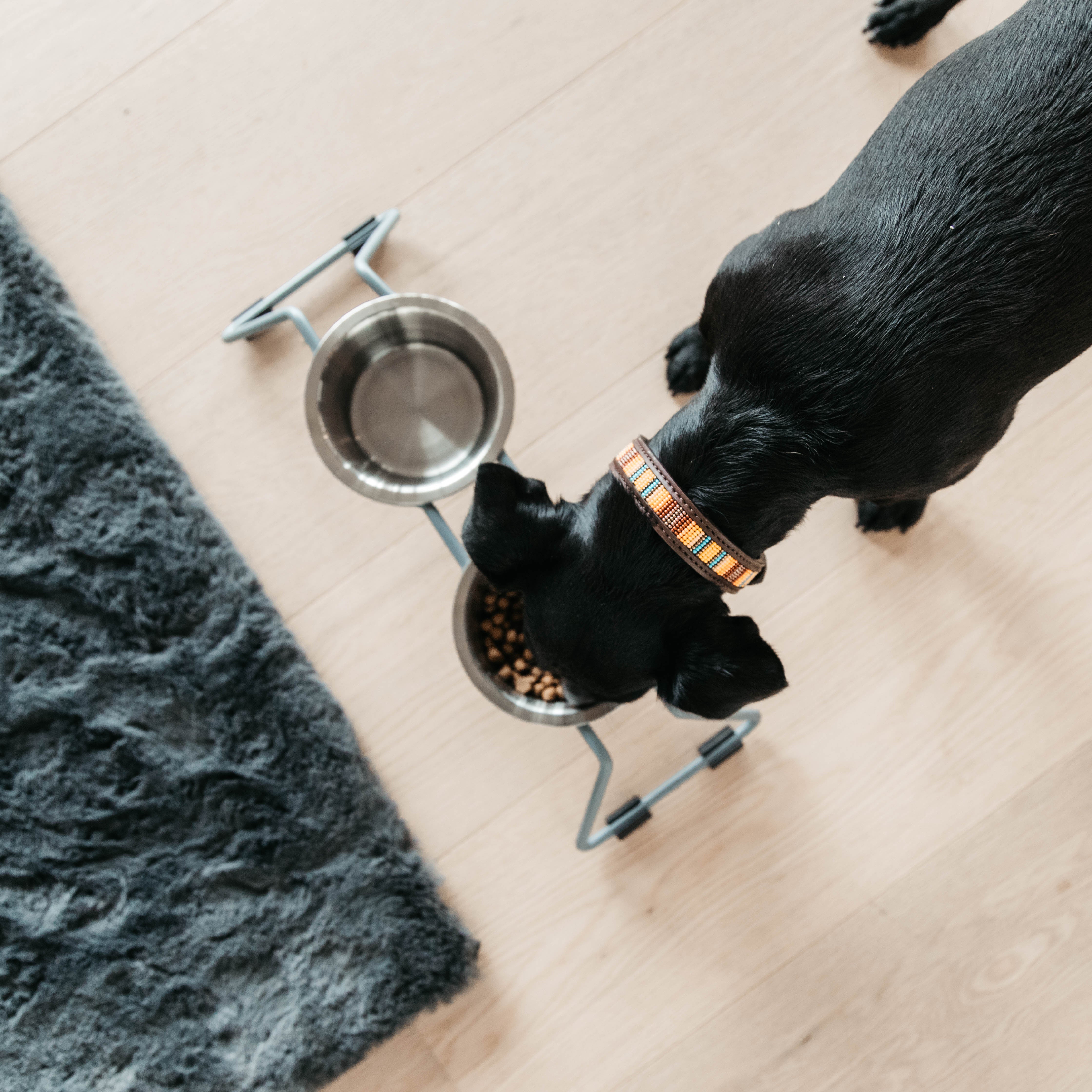 Hunde Halsband Handgemacht Perlen