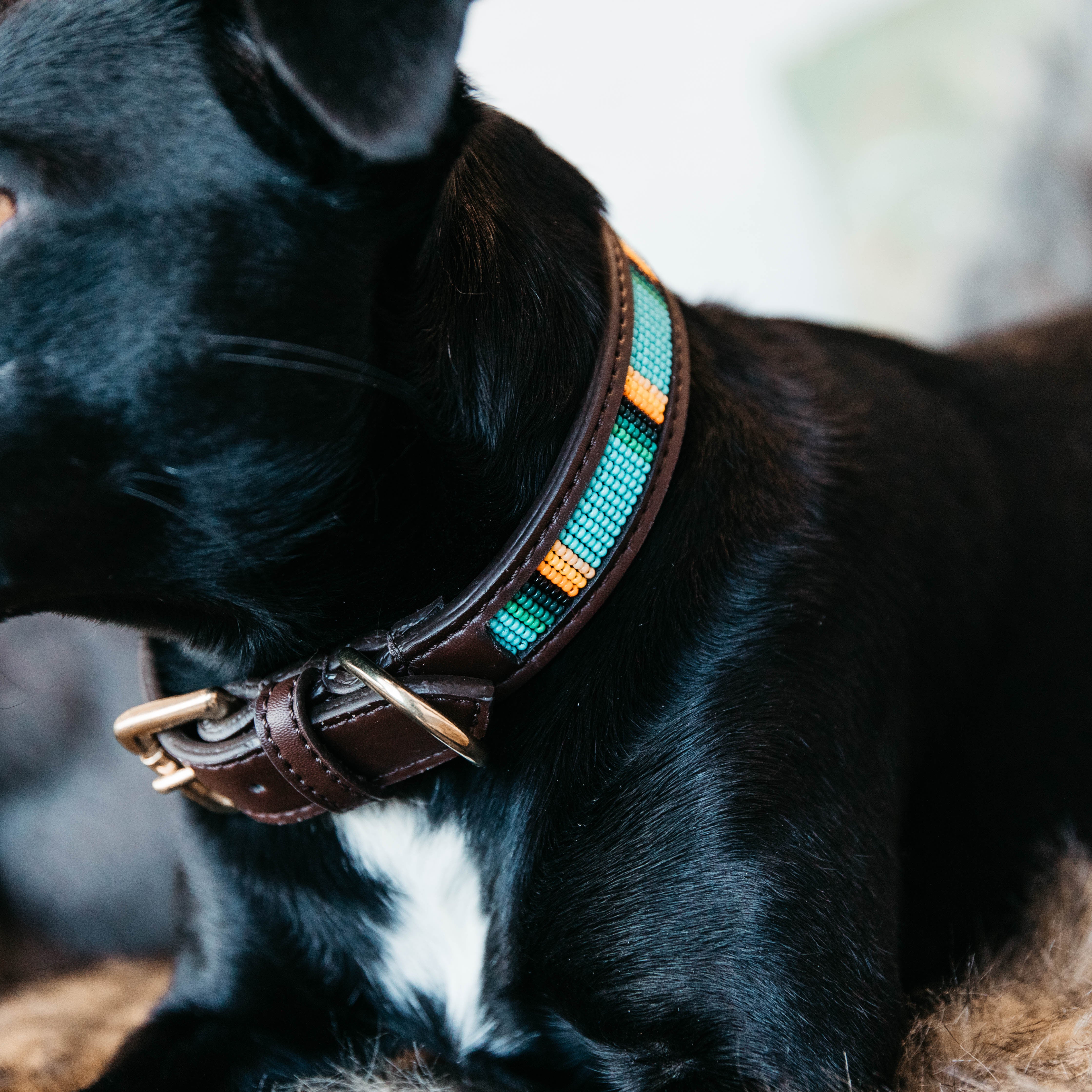 Hunde Halsband Handgemacht Perlen