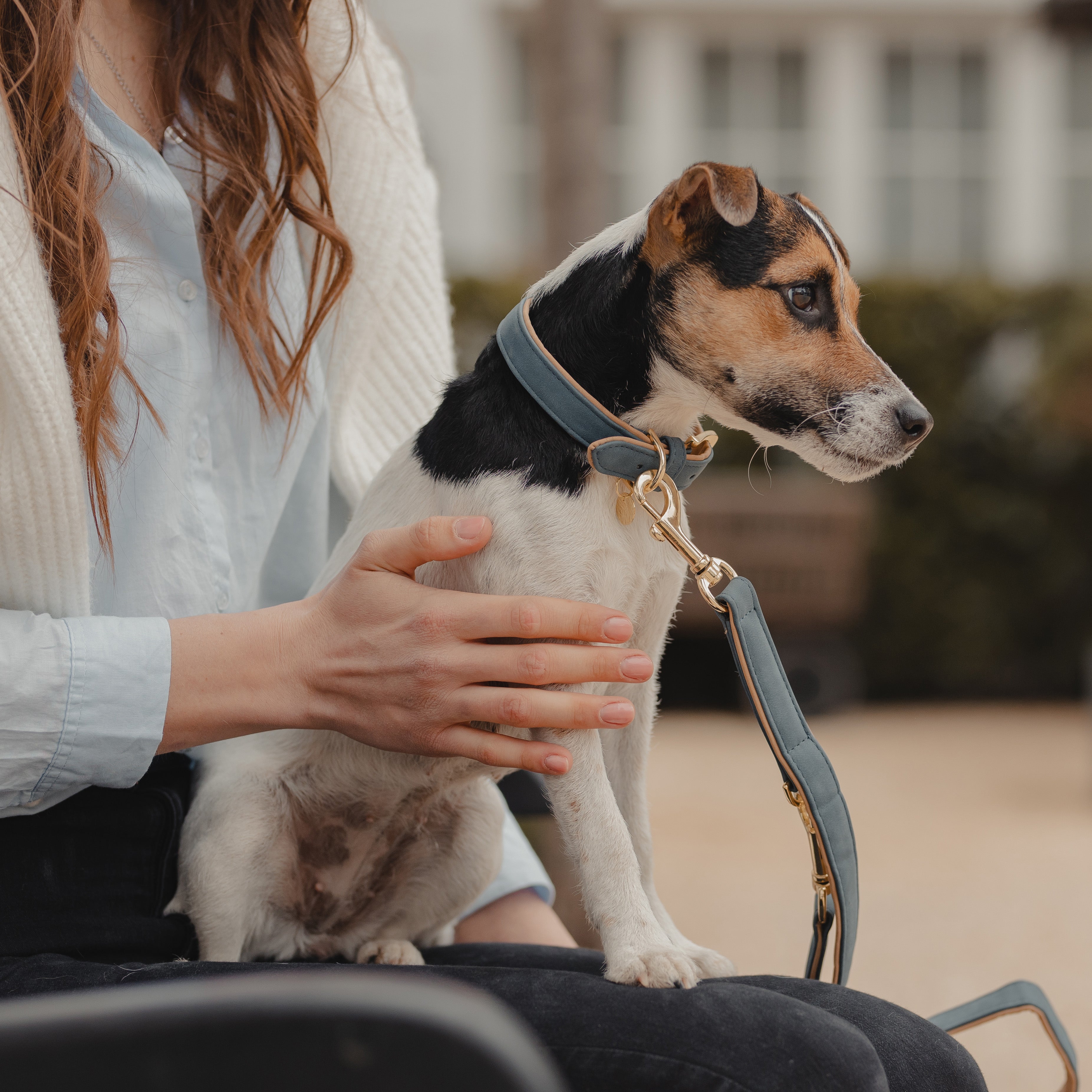 Hunde Halsband Vegan Leder