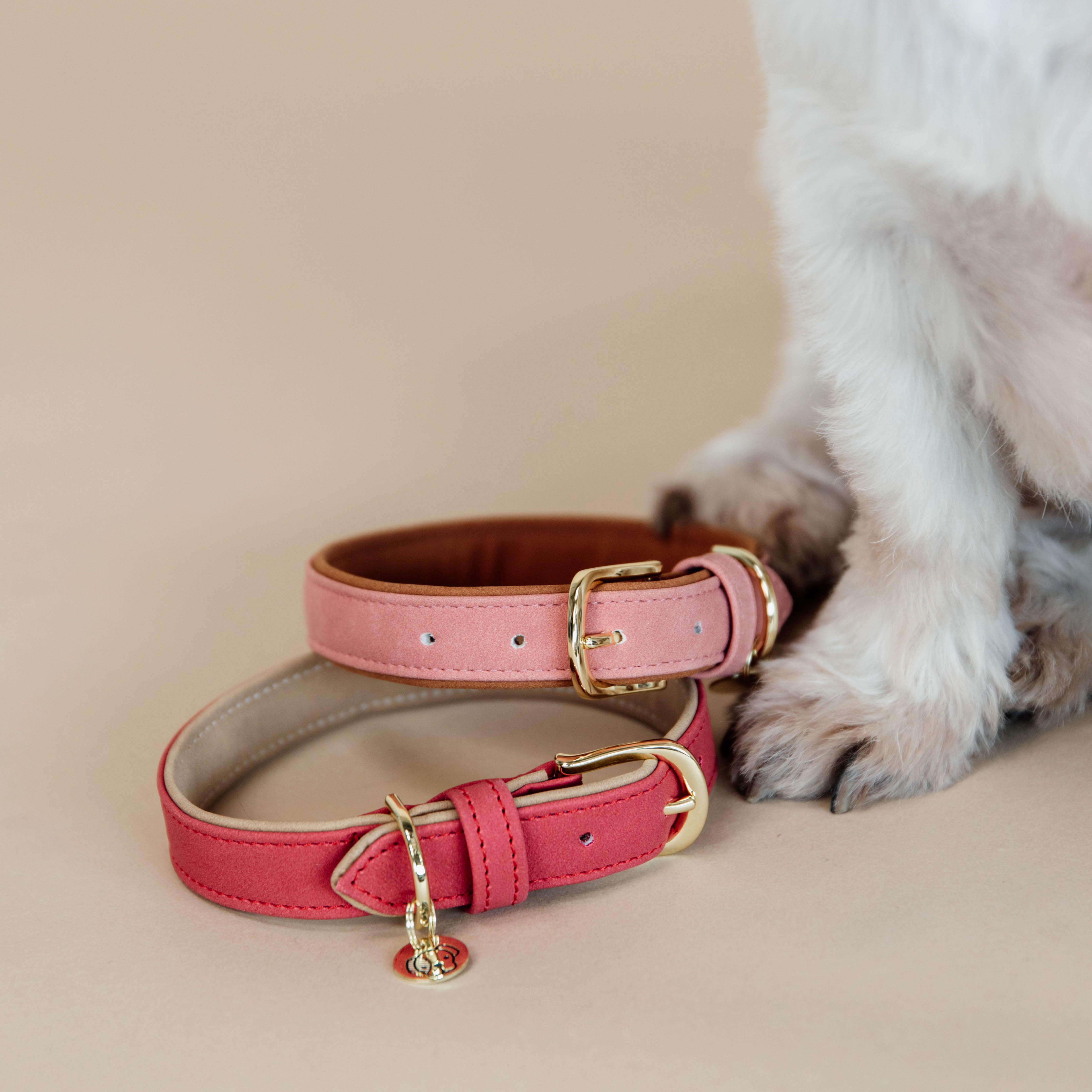 Hunde Halsband Vegan Leder