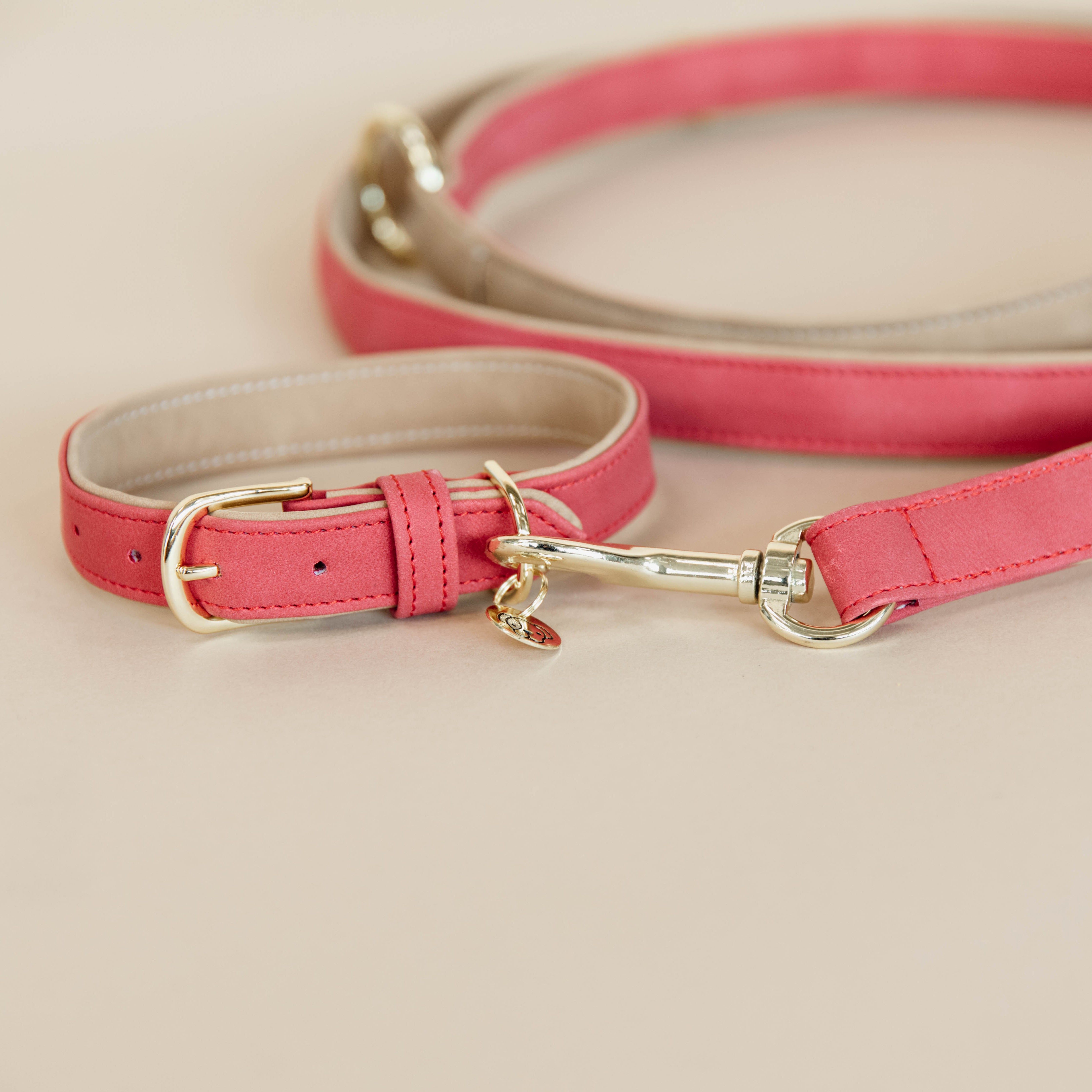 Hunde Halsband Vegan Leder