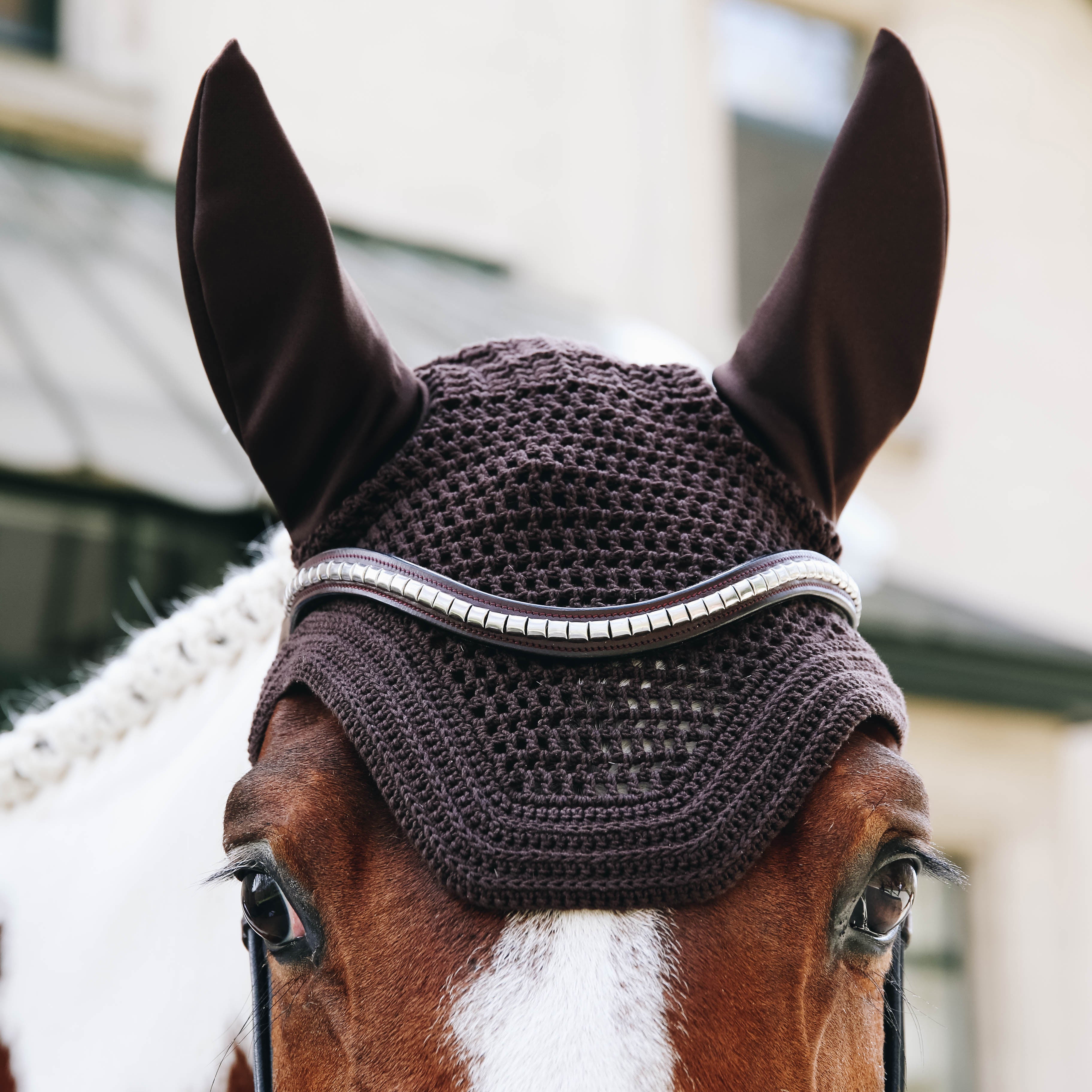 Fliegenhaube Wellington