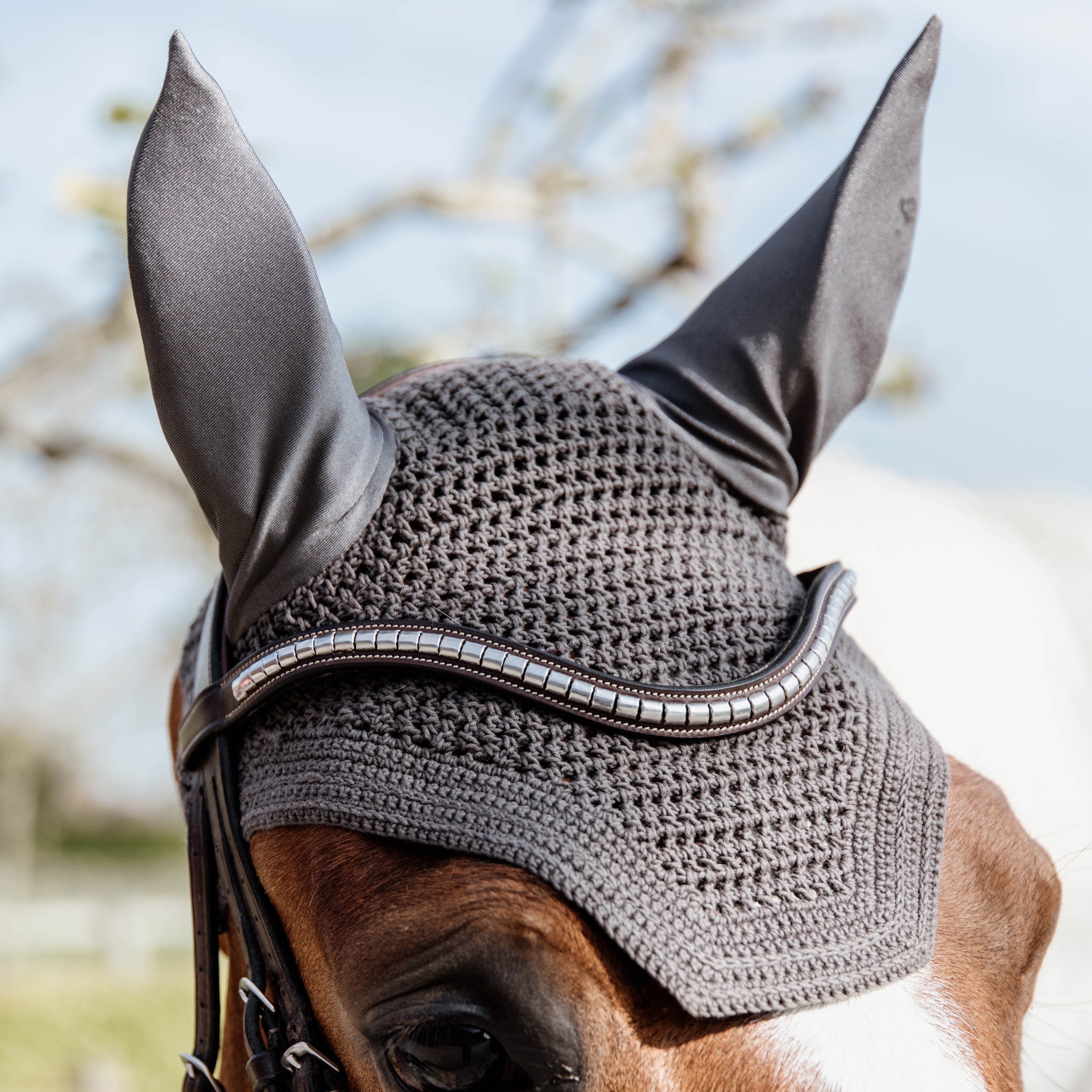 Fliegenhaube Wellington