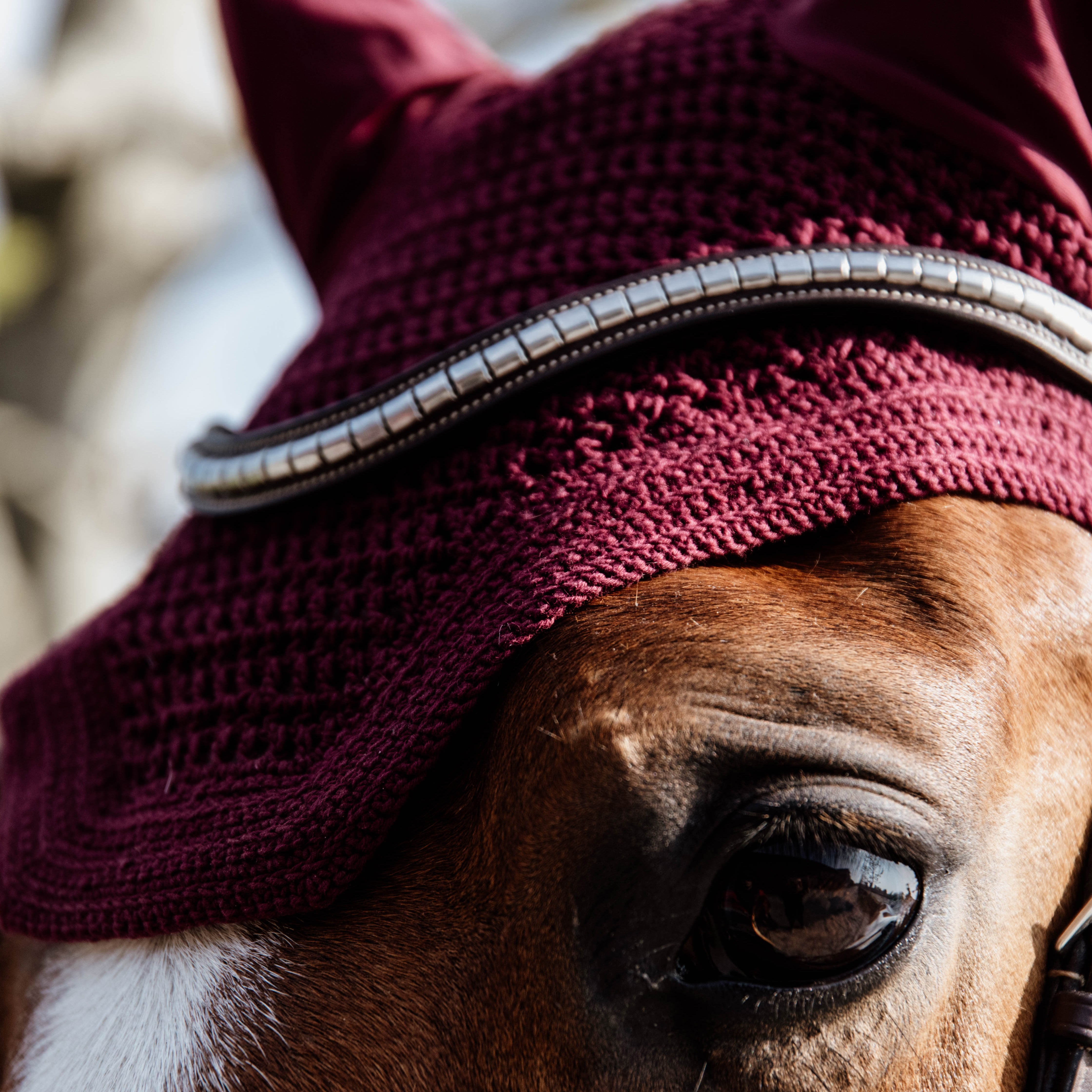 Fliegenhaube Wellington