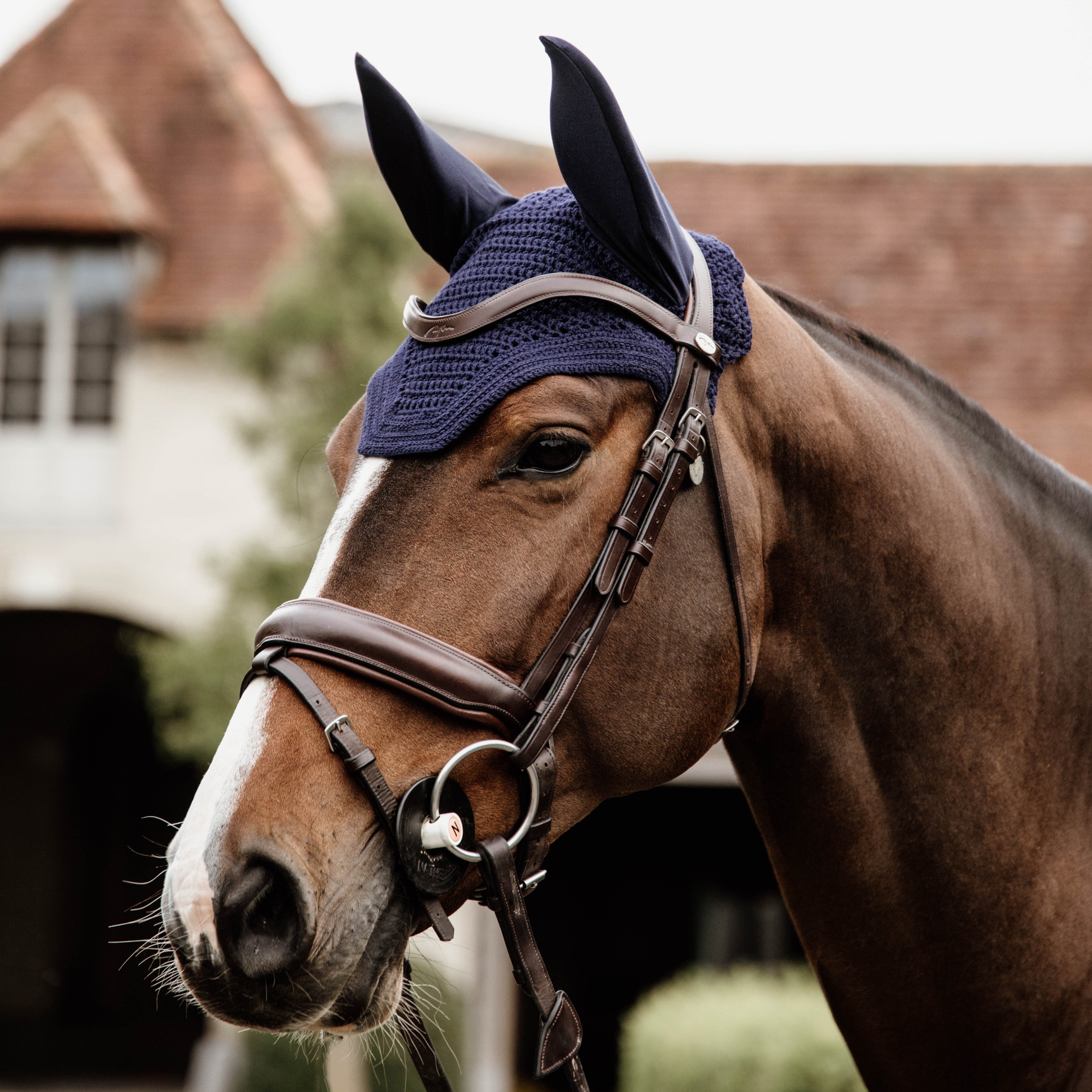 Fliegenhaube Wellington