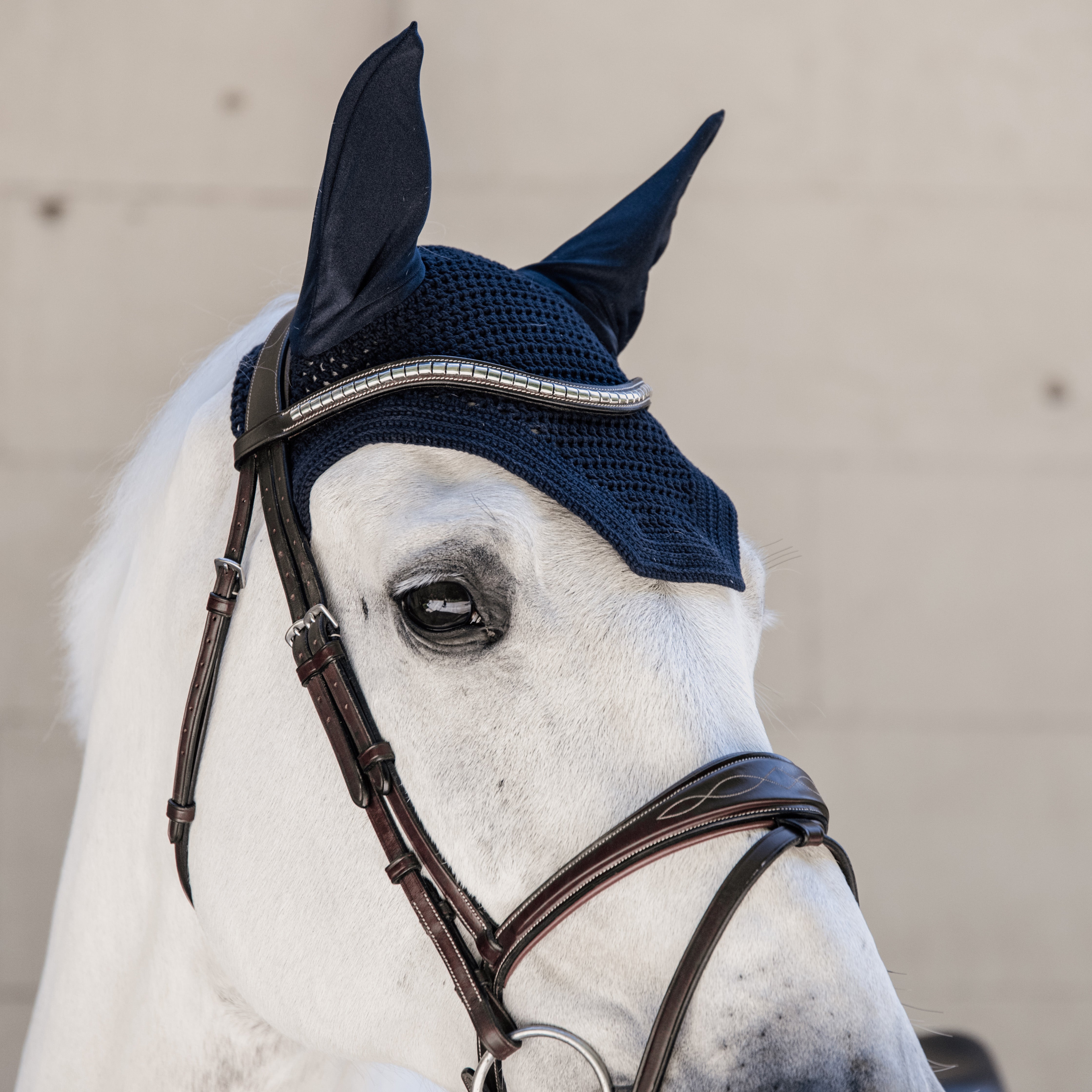 Fliegenhaube Wellington